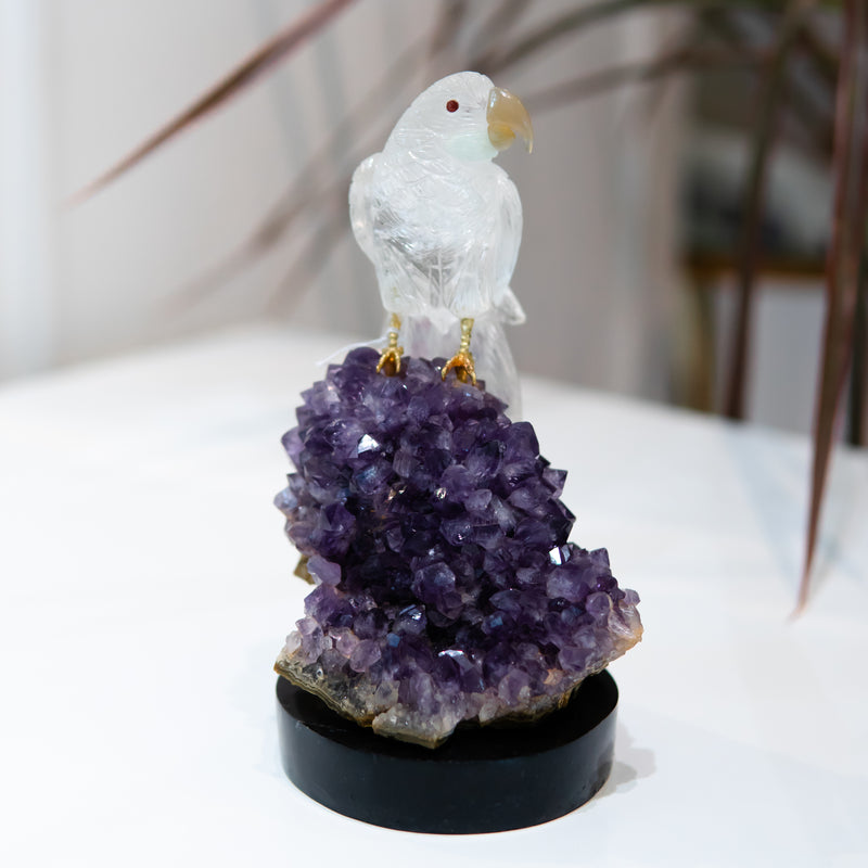 White Crystal Macaw with Amethyst Base