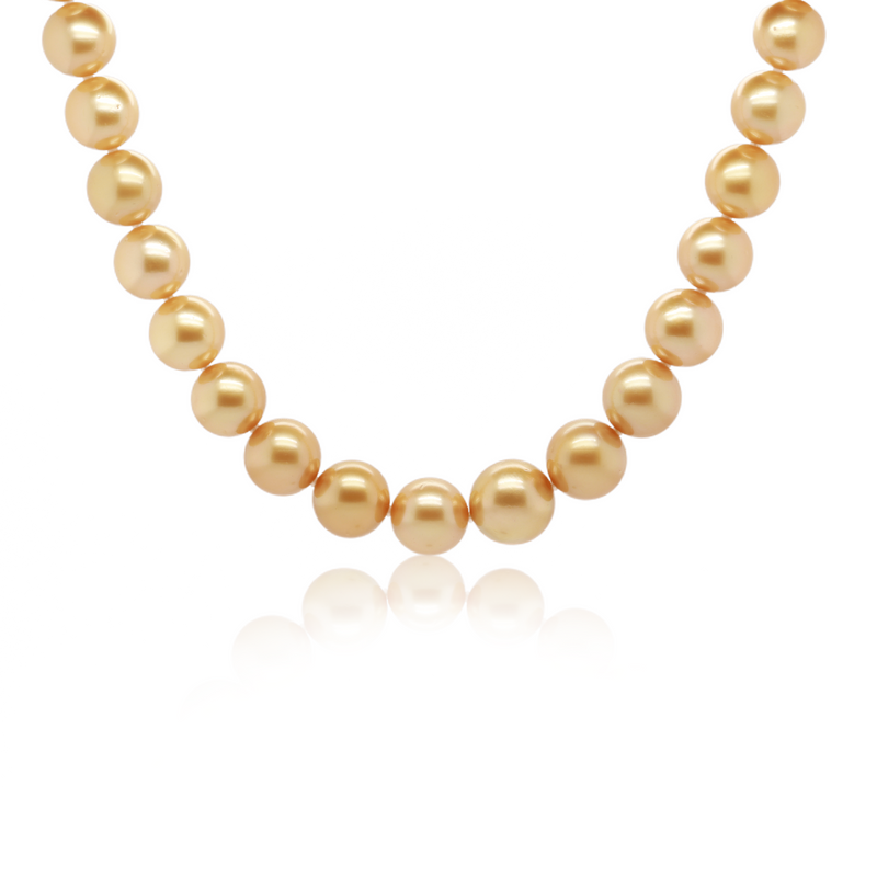 Golden South Sea Pearl Necklace